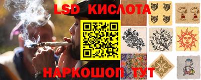 твердый Камышлов