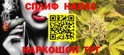 твердый Камышлов