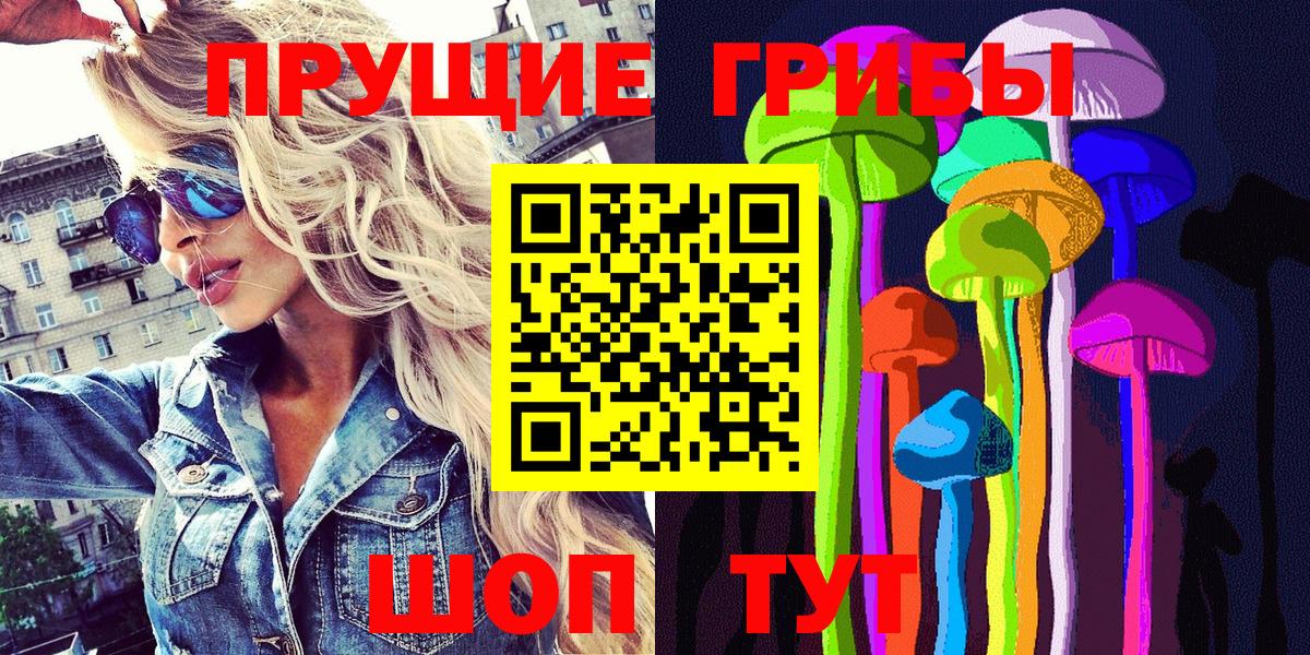 Красный Сулин  Галлюциногенные грибы Cubensis  Вход с VPN 